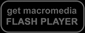 get macromedia flash player